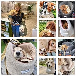 'The Richmond' Biscuit Taupe Beige Luxury Dog Carrier