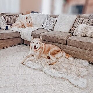 PupRug® Orthopedic Bed + Matching Waterproof Blanket Bundle - White with Brown Accents