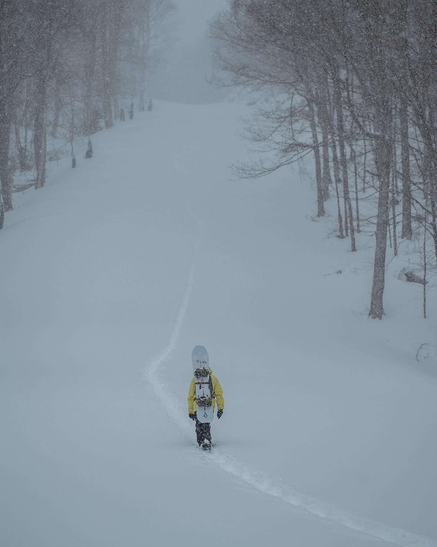 Home | Atlas Snowshoe-Co