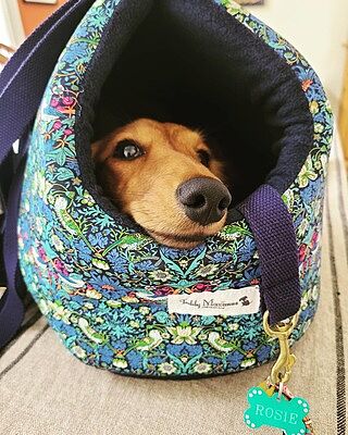 Strawberry Thief Adjustable Luxury Dog Carrier