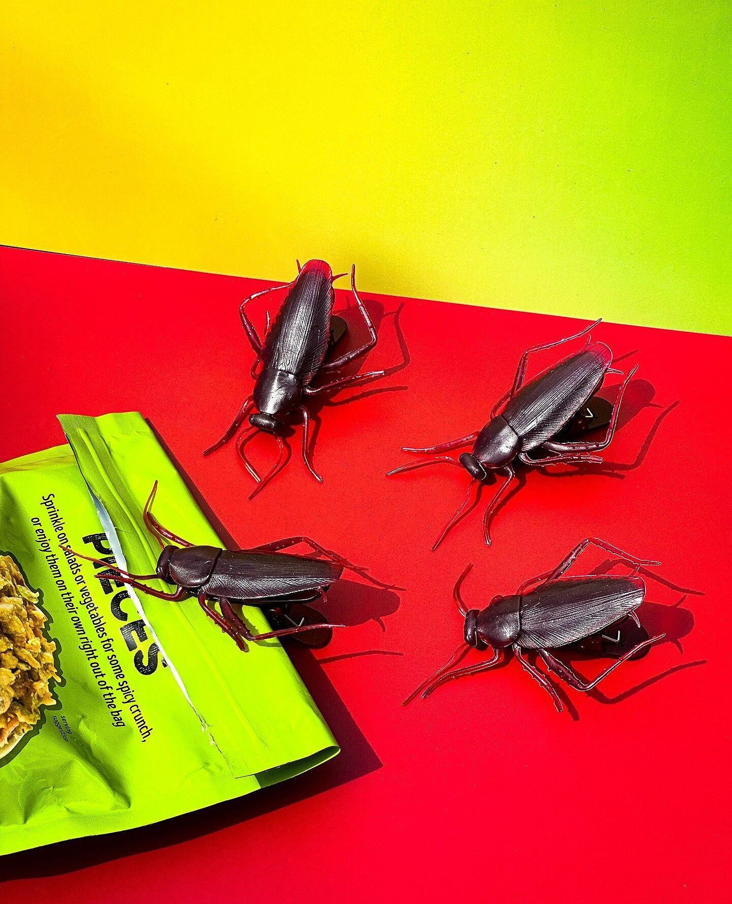 ROACH CLIPS - Cockroach Bag Clips