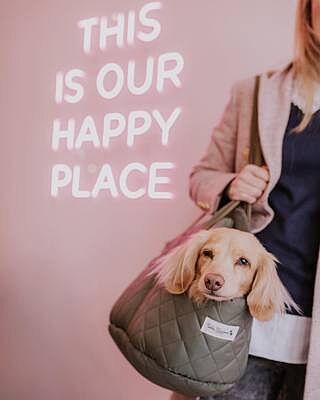 'The Explorer' Quilted Comfort Luxury Dog Carrier