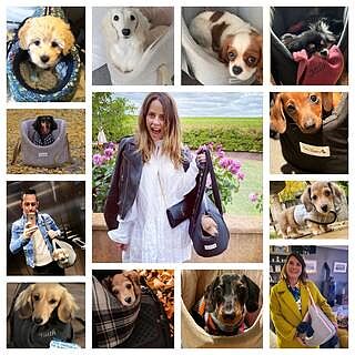 Strawberry Thief Adjustable Luxury Dog Carrier