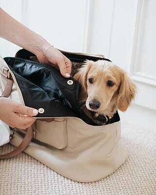 NEW! 'Totes Love You' Dog Carrier