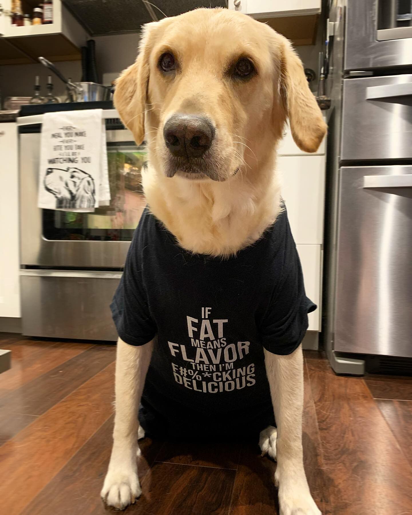 FAT MEANS FLAVOR TEE