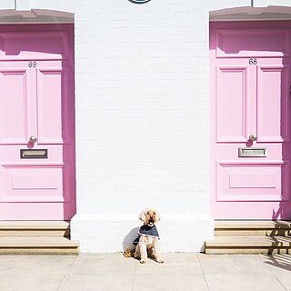 'The Melody' Grey & Pink Luxury Dog Coat