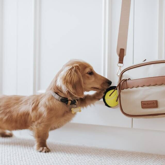 NEW! 'The Richmond' Taupe Luxury Dog Walking Bag