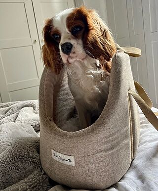 'The Richmond' Biscuit Taupe Beige Luxury Dog Carrier