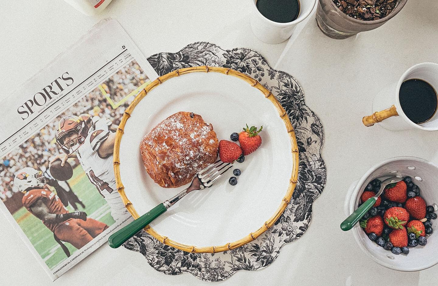 Baroque Floral Ombre Reversible Wipeable Placemats Set of 4