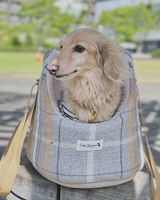 Sand Sheltie Adjustable Plaid Tweed Luxury Dog Carrier