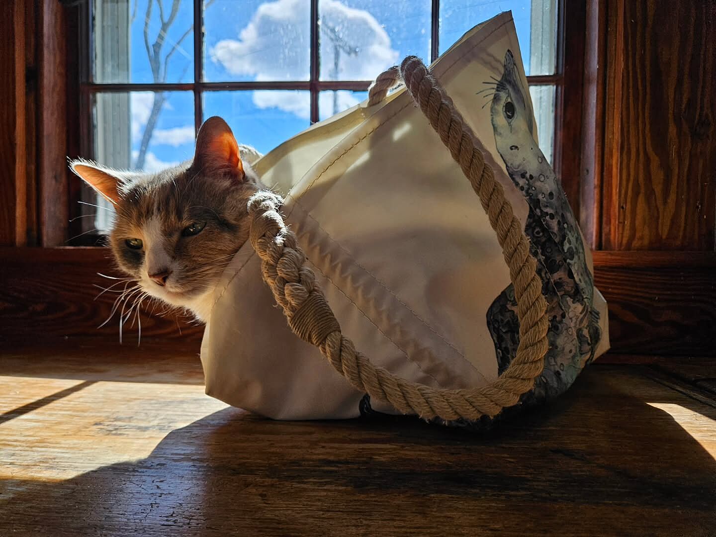 Sea Bags | The Ultimate Beach Bag