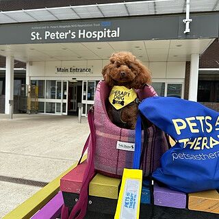 Pink Sheltie Adjustable Plaid Luxury Dog Carrier