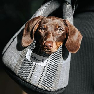 The Belgravia Adjustable Black Plaid Tweed Luxury Dog Carrier