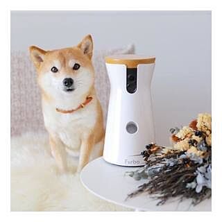 公式 Furbo ドッグカメラ 愛犬のお留守番が心配なあなたに 公式 Furbo ドッグカメラ 愛犬のお留守番が心配なあなたに