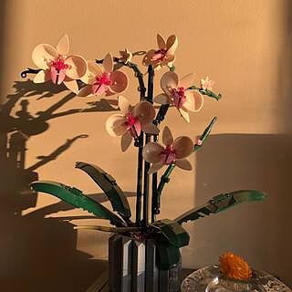 LEGO® Orchid