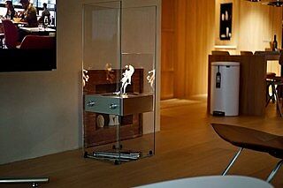 Ghost: See-Through Ethanol Fireplace - EcoSmart Fire