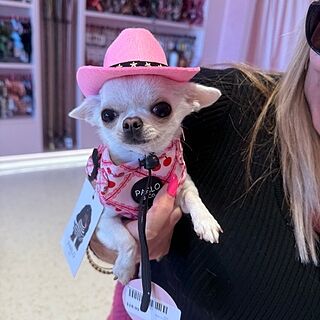 Ma chérie: Adjustable Harness