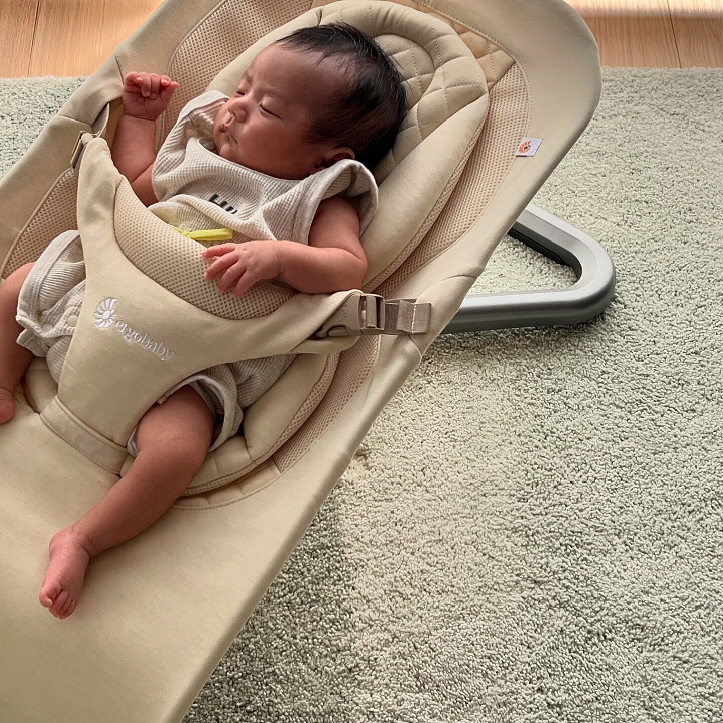 大人気　24aw fcrb BABY SET 3-In-1 Evolve Baby Bouncers | Ergobaby