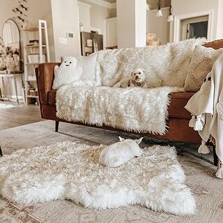 PupRug® Orthopedic Bed + Matching Waterproof Blanket Bundle - White with Brown Accents