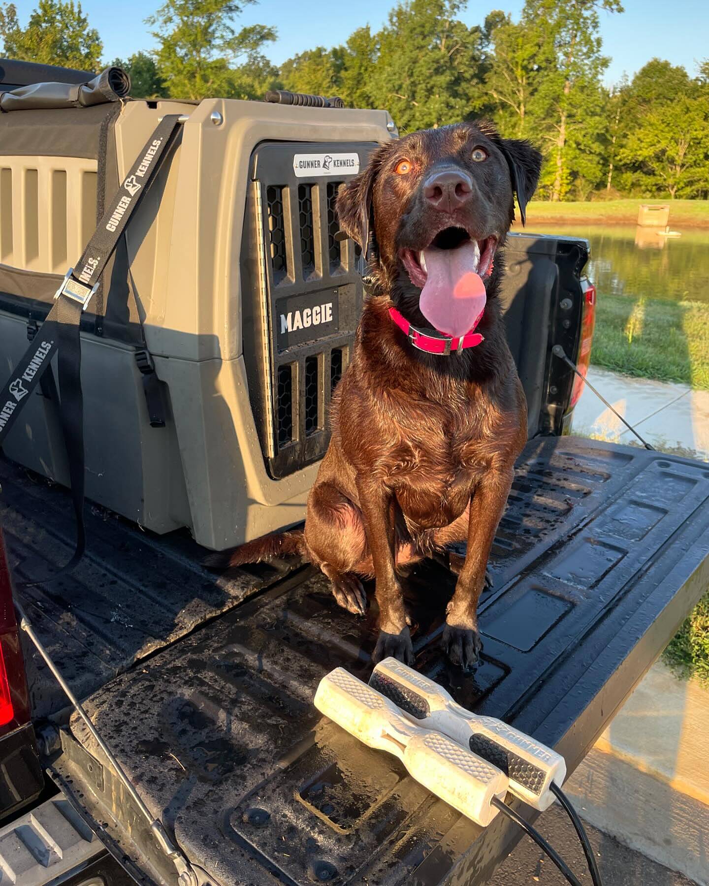 Gunner kennel insulated cover best sale