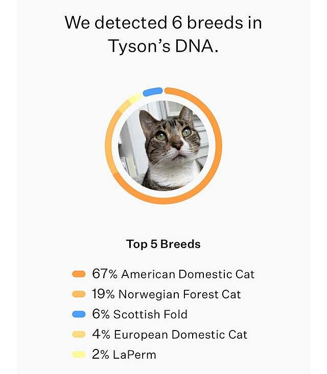 wisdom panel genetic testing