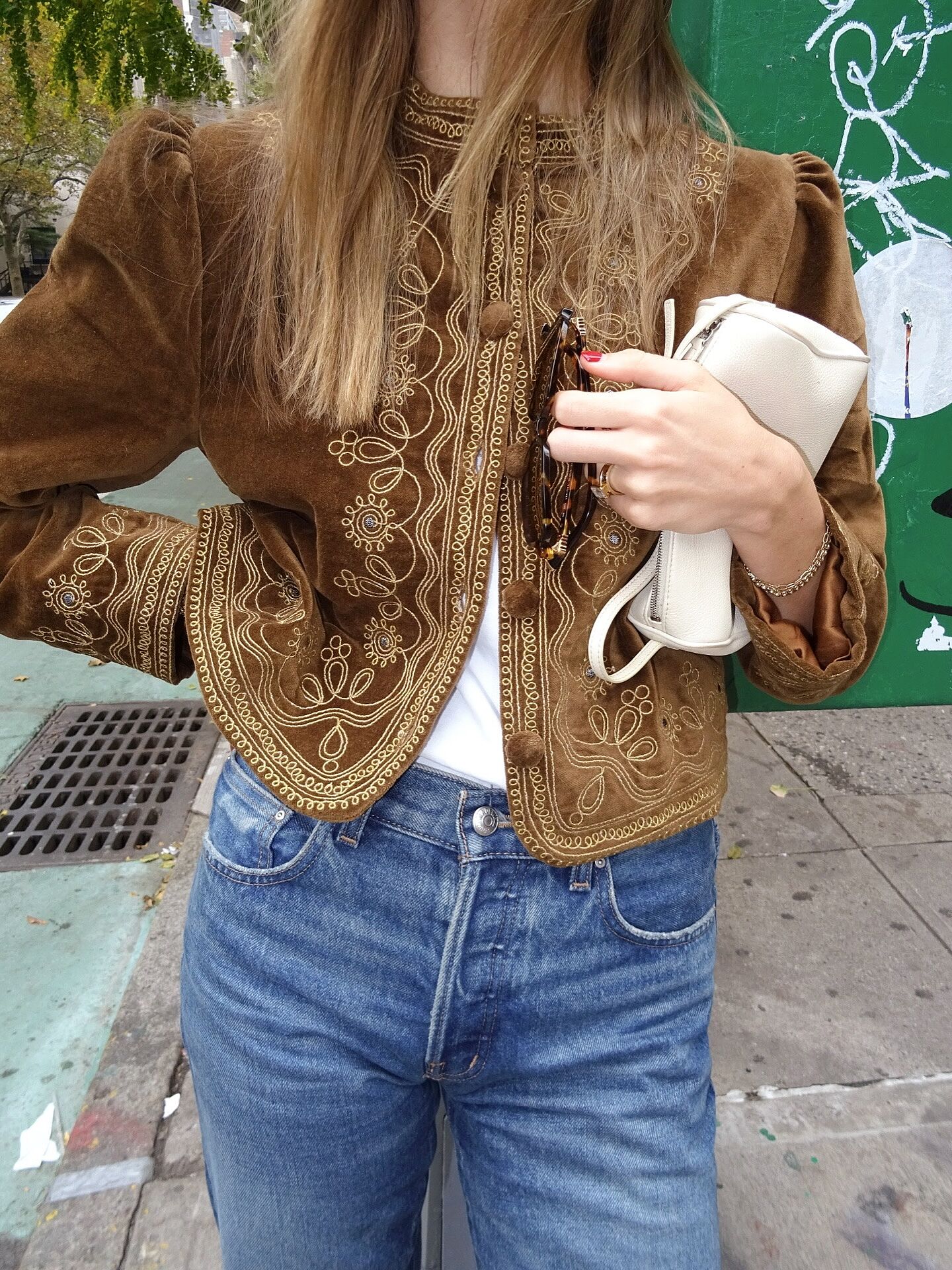 Denver Velvet Jacket in Brown Soutache Embroidery Bronze | RIXO USA ⋆