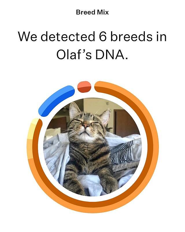 banfield wisdom panel