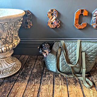 'The Explorer' Quilted Comfort Luxury Dog Carrier