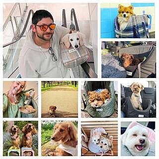 Sand Shetland Wool Luxury Large Dog Bed Cushion