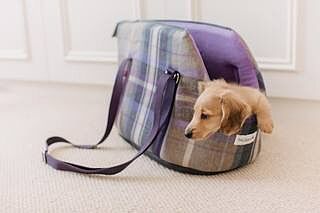 The Cambridge Adjustable Purple Taupe Soft Sided Luxury Dog Carrier