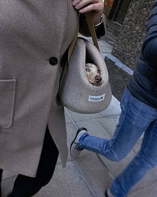 'The Richmond' Biscuit Taupe Beige Luxury Dog Carrier