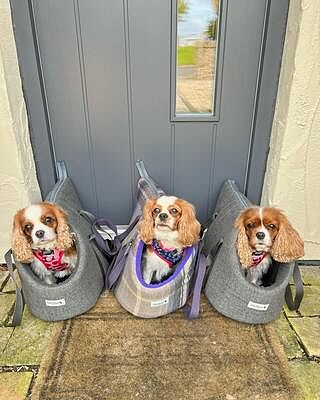 'The James' Charcoal Grey Luxury Dog Carrier