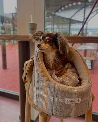 Sand Sheltie Adjustable Plaid Tweed Luxury Dog Carrier