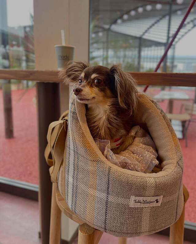 Sand Sheltie Adjustable Plaid Tweed Luxury Dog Carrier