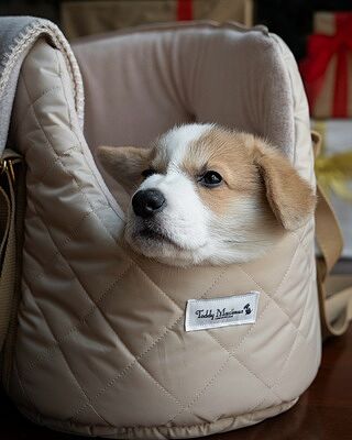 NEW! The Chelsea Champagne Quilted Dog Carrier