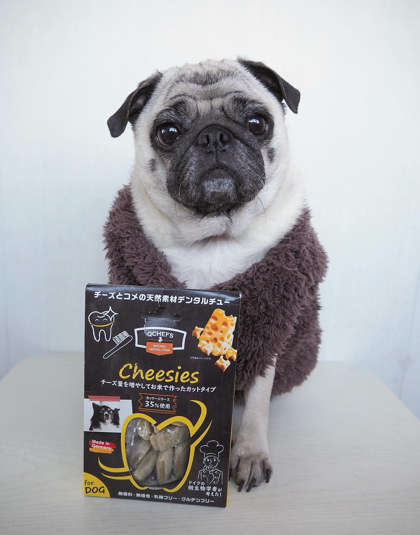 Cheesies チージー-チーズの歯磨きおやつ ｜QCHEFS Japan（キュー