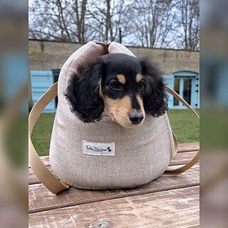 'The Richmond' Biscuit Taupe Beige Luxury Dog Carrier