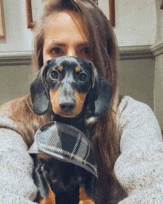 The Belgravia Luxury Dog Harness