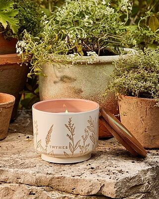 Outdoor Oasis Citronella Grove Poured Candle Tin with Gold Lid