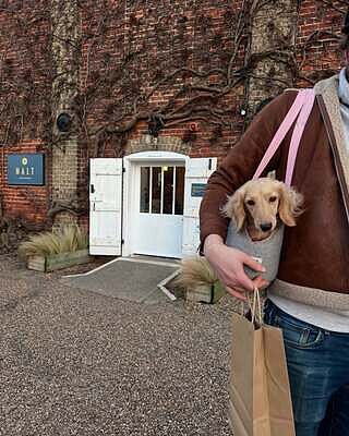 'The Melody' Pink & Grey Luxury Dog Carrier