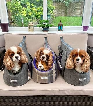 'The James' Charcoal Grey Luxury Dog Carrier