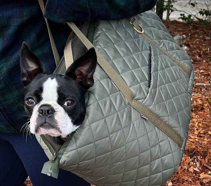 'The Explorer' Quilted Comfort Luxury Dog Carrier