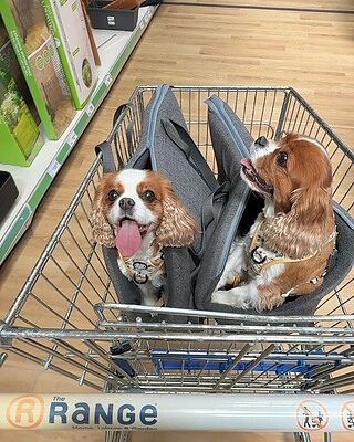 'The James' Charcoal Grey Luxury Dog Carrier