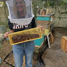 A moment from the Savannah Bee hive