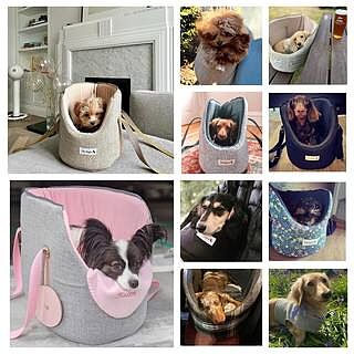 'The Richmond' Biscuit Taupe Beige Luxury Dog Carrier