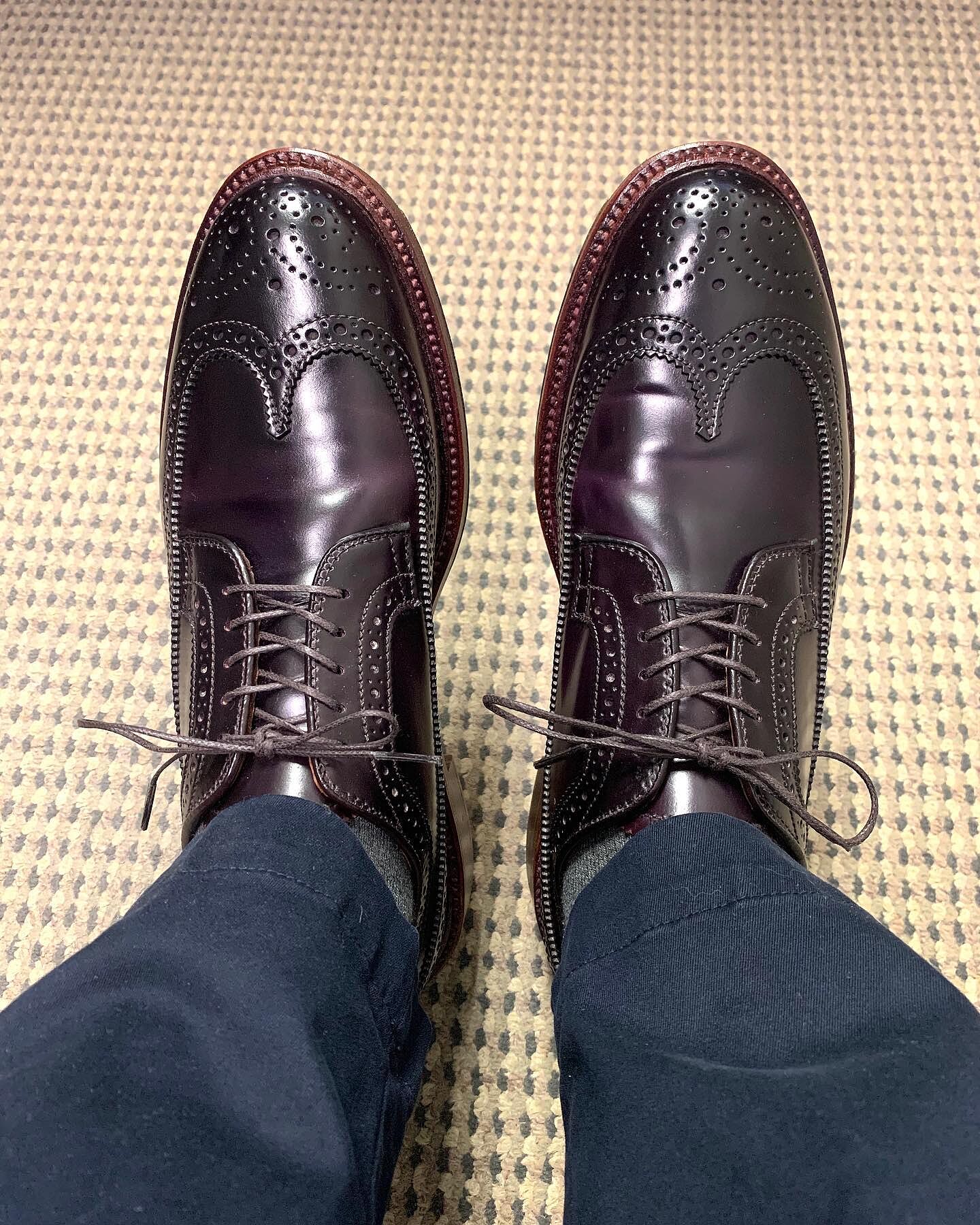 Alden 975 Cordovan Long Wing Blucher