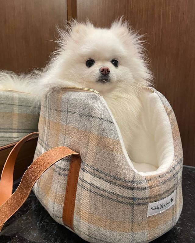 Sand Sheltie Luxury Dog Carrier