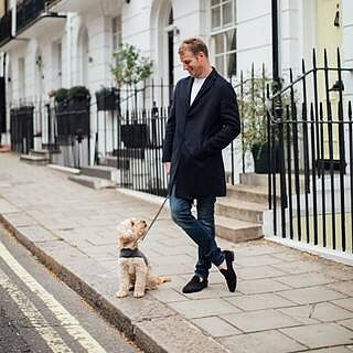 'The Louis' Luxe Grey Luxury Dog Harness