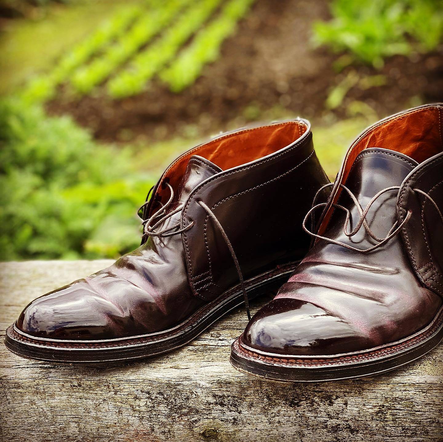 オールデン チャッカブーツ10 1/2D OILED KUDU LEATHER www