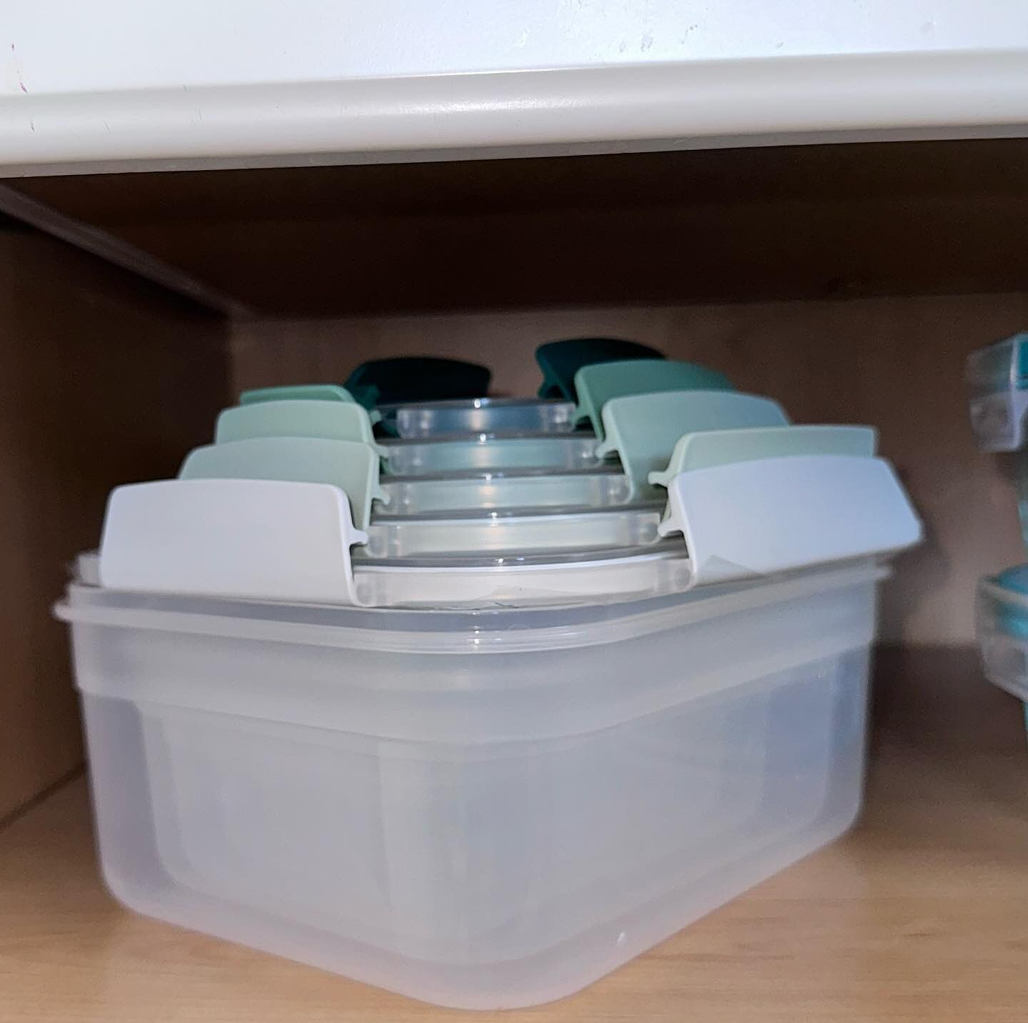 Nest™ Lock Multi-size Container Set - Editions | Joseph Joseph US